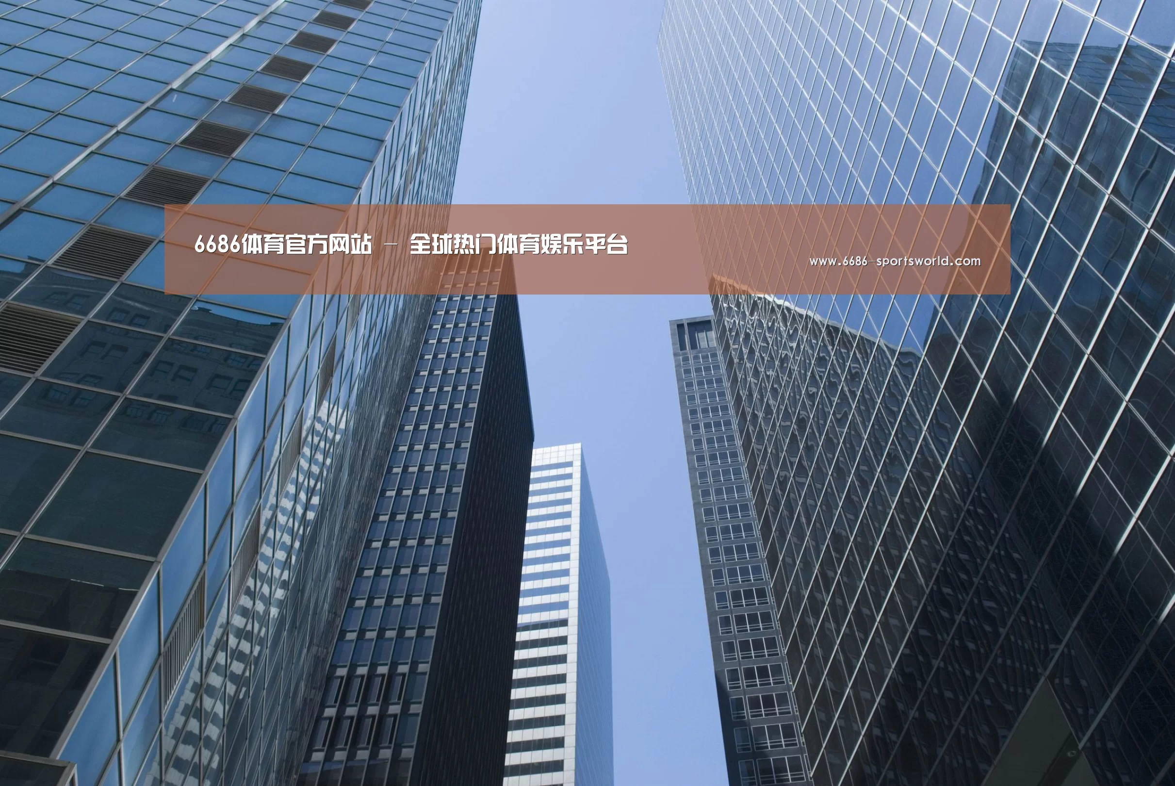 6686最新地址公司简介 