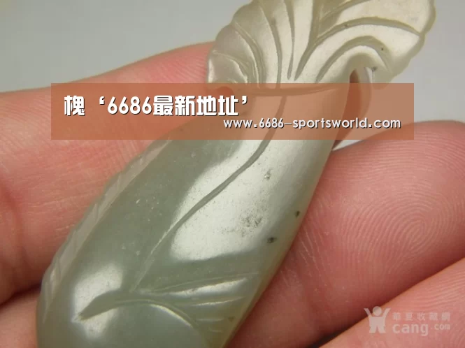 槐‘6686最新地址’(图2) 6686电竞APP