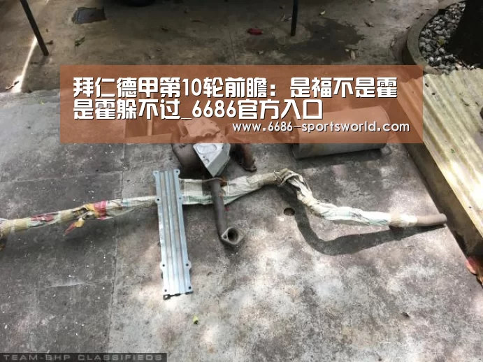 6686官方入口
